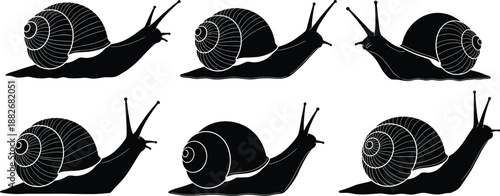Black Snail Silhouette Set in Different Positions, Minimal Animal Illustration Collection, Nature Icon Pack, Wildlife Design Elements Isolated on White Background