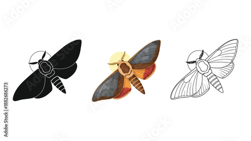 Set of three moth illustrations in solid black silhouette, color, and line art styles