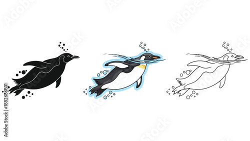 Set of three penguin swimming illustrations in black silhouette, color, and outline styles