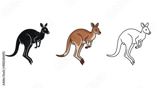 Set of three kangaroo illustrations in black silhouette, color, and outline styles