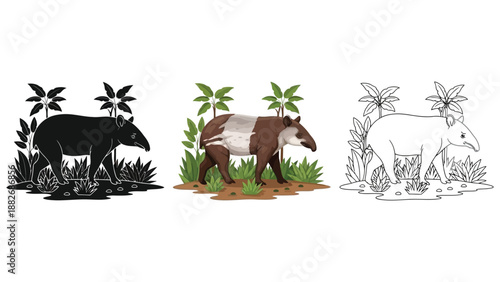 Set of three tapir illustrations in jungle foliage with silhouette, color, and outline styles