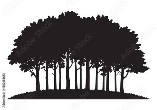 set of forest trees