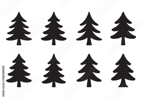 Silhouettes of evergreen trees in a forest setting