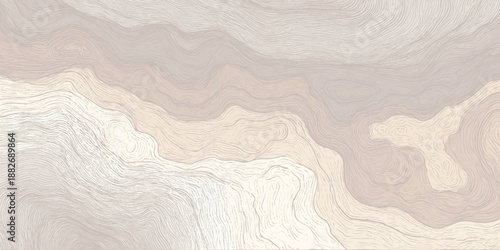 Abstract landscape with flowing organic lines and layered contours in warm beige and taupe hues creating a textured and calming visual