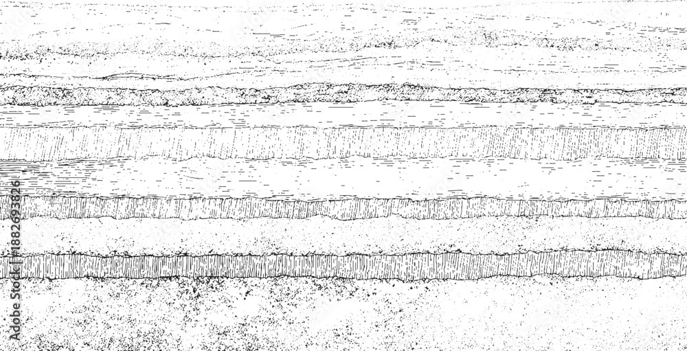 Obraz premium Detailed cross section of geological strata with varied textures and line work illustrating earth science and natural history with horizontal layered rock formations