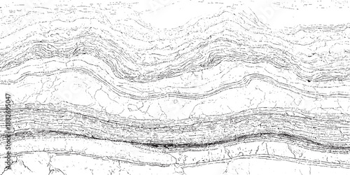 Intricate abstract monochrome texture featuring wavy lines and cracked patterns creating a sense of depth and organic complexity in black and white