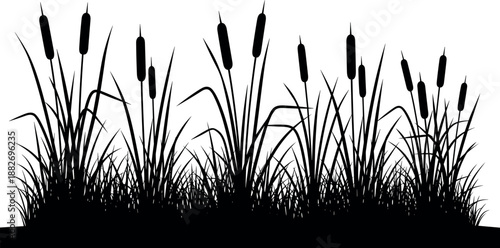 Black Silhouette of Cattails and Marsh Grass Wetland Plants Border Illustration Isolated on White Background for Nature and Outdoor Design