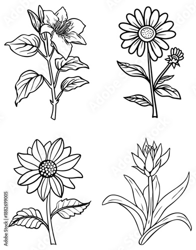 Collection of four diverse line art floral drawings
