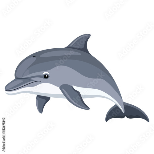 Playful Bottlenose Dolphin Vector Illustration