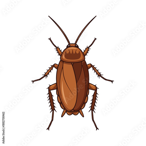 Cartoon Cockroach Vector Illustration Isolated on White