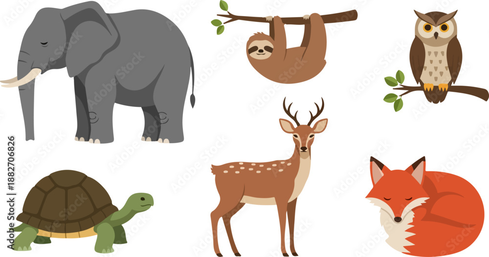 Fototapeta premium Forest animals collection with transparent background