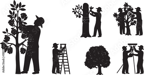5 Black Solid Fruit Tree Silhouettes Set on White Background