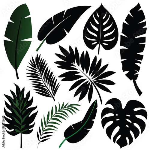 Tropical Leaves Collection Silhouettes & Green Foliage Vector Set