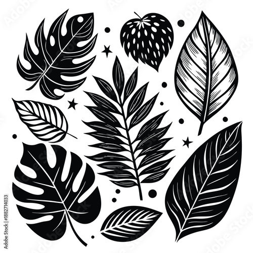 Black and White Tropical Leaves Botanical Vector Illustration Collection