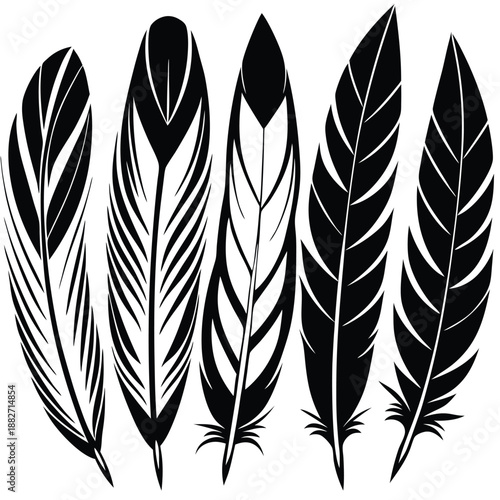 Feather Silhouettes: A collection of intricately detailed feather illustrations, each a testament to nature's artistry in striking black and white