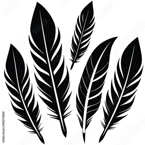 Elegant Feather Silhouette: Capturing the intricate beauty of six individual feathers, each artfully silhouetted in stark black.