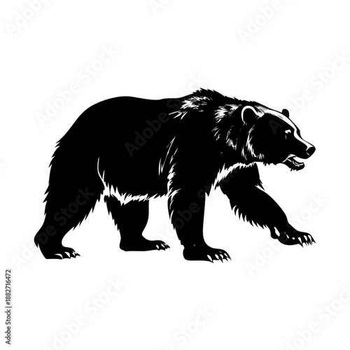 A wild black bear silhouette illustration of a big predator animal isolated on a white background representing nature and grizzly wildlife