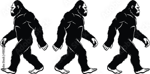 Bigfoot silhouette walking set showing mythical sasquatch creature profiles isolated black vector illustration for folklore, mystery and cryptid concepts