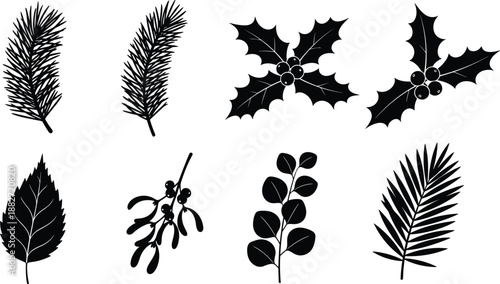Black botanical silhouette collection featuring pine branches, holly leaves, mistletoe, and festive winter foliage vector illustrations isolated on white background