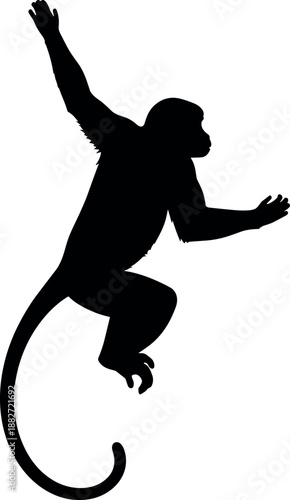 Monkey silhouette jumping illustration, black white primate animal pose isolated on white background, wildlife symbol, nature graphic design
