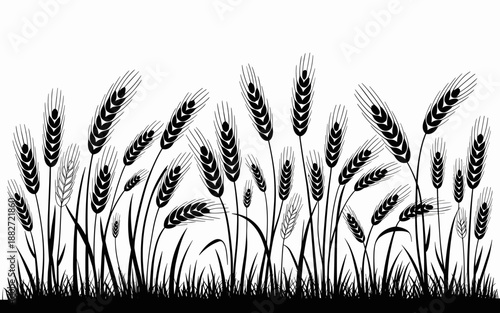 Silhouetted wheat field illustration with mature grain stalks in rural farm setting agriculture harvest concept for organic food packaging design and natural product marketing materials on sustainable