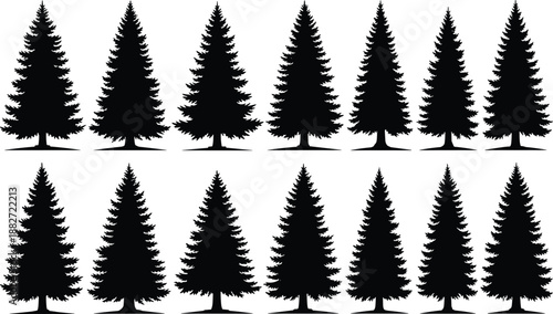 Evergreen pine tree silhouettes collection featuring fir and spruce conifers, black forest vector illustration isolated on white background