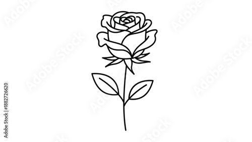 A beautiful and delicate outline illustration showcases a single long-stemmed rose flower with detailed petals and leaves, drawn in elegant black lines on a pure white background.