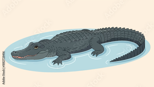 A cartoon alligator floats in light blue water with a pale orange background