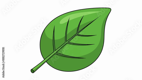 A single, stylized green leaf with visible veins and stem on a white background