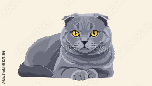 A gray Scottish Fold cat with yellow eyes lies calmly