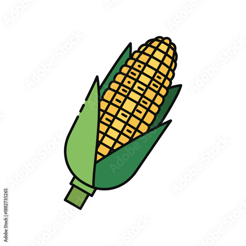 Fresh Corn on the Cob with Green Husk