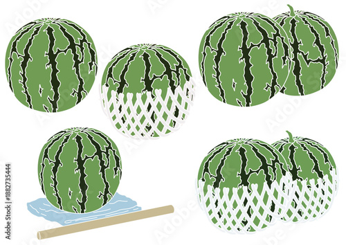 スイカ５種　版画