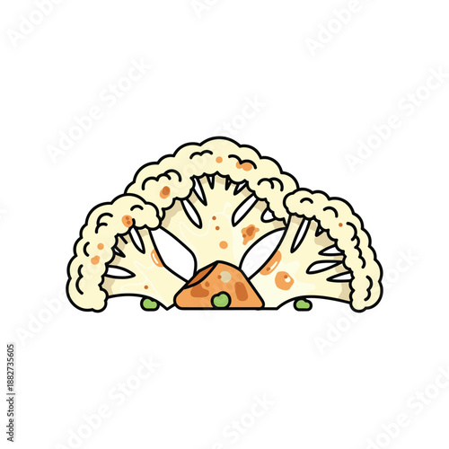 Fresh Cauliflower Illustration