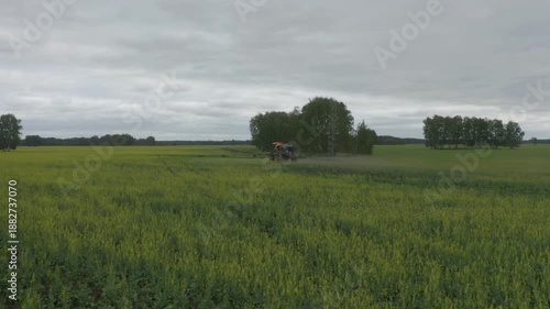 Agricultural machinery operates in a blooming field, carrying out crop treatment. 