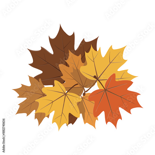 a collection of vibrant autumn leaves in shades of brown orange and yellow