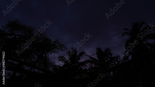 Tropical Palm Tree Silhouettes at Purple Twilight Sky