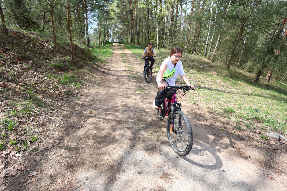 Fototapeta premium Two kids pedal their bikes along a sunlit forest trail, immersed in natures green embrace. Active, joyful, and carefree childhood adventure at its best.