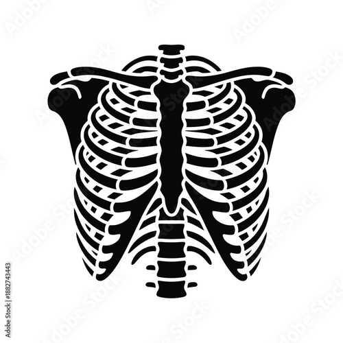 a detailed illustration depicting a human ribcage skeleton in a black monochrome style