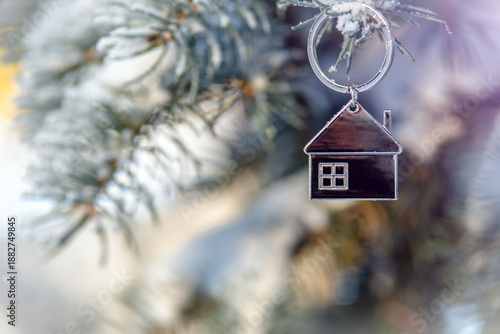 symbol of the house stands on a snow-covered fir branches
