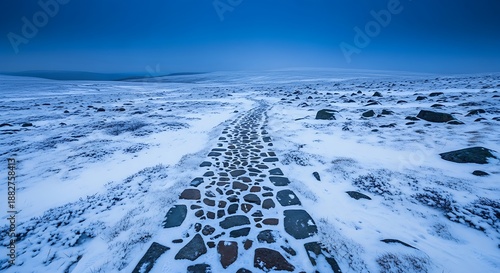 A winding cobblestone path leads through a desolate snowy tundra under a moody blue twilight sky in winter.