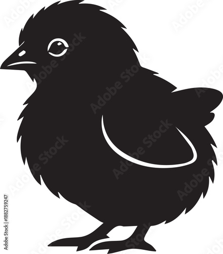 Silhouette of a baby bird