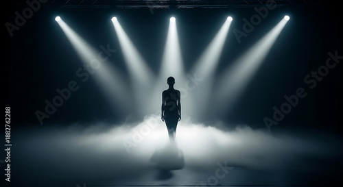 A silhouette of a person stands center stage, lit by spotlights and enveloped in a smoky haze, creating an aura of mystery