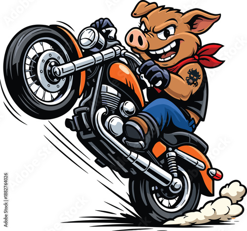 Angry pig biker riding powerful orange motorcycle doing a wheelie stunt, cool swine character with tattoo and red scarf, flat vector illustration