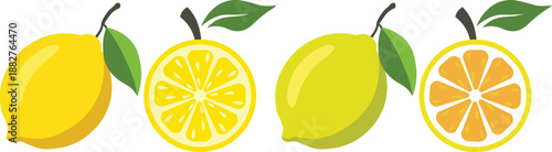 Fresh organic citrus fruit set featuring yellow lemons and juicy oranges with whole fruits and half cut slices