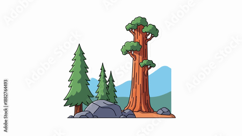 Cartoon illustration of a giant redwood tree and evergreen trees in nature