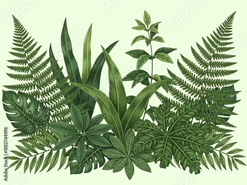 Collection of various green leaves on a light green background