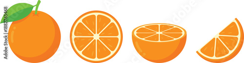 Fresh Whole Orange with Green Leaf, Sliced Half, Cross Section View, and Single Wedge Isolated on White Background, Cad Drawing Flat Vector Illustration