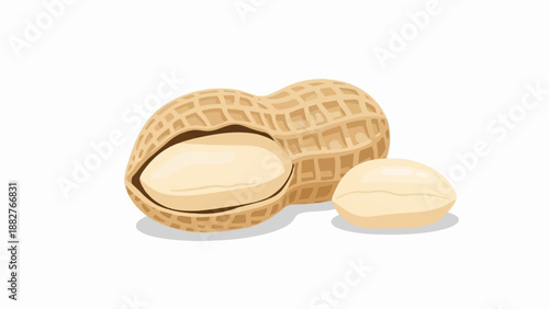 An opened peanut shell with two kernels on a white background