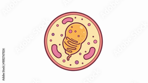 Cartoonistic representation of a biological cell with internal structures
