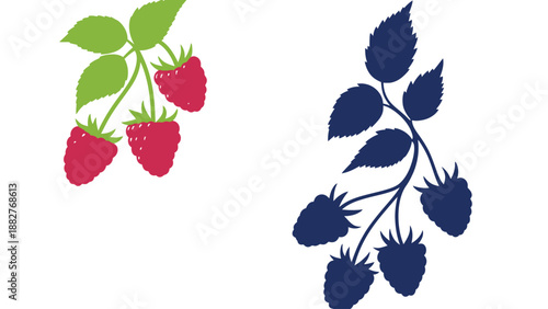 A colorful illustration of raspberries with green leaves on a white background